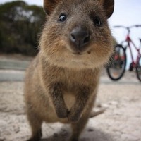 PHP网站短信接口调试--程序功能与开发 - 其他