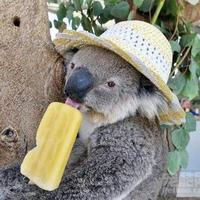 机械B2B网站软文写作,5元一稿,在线审核! - 其