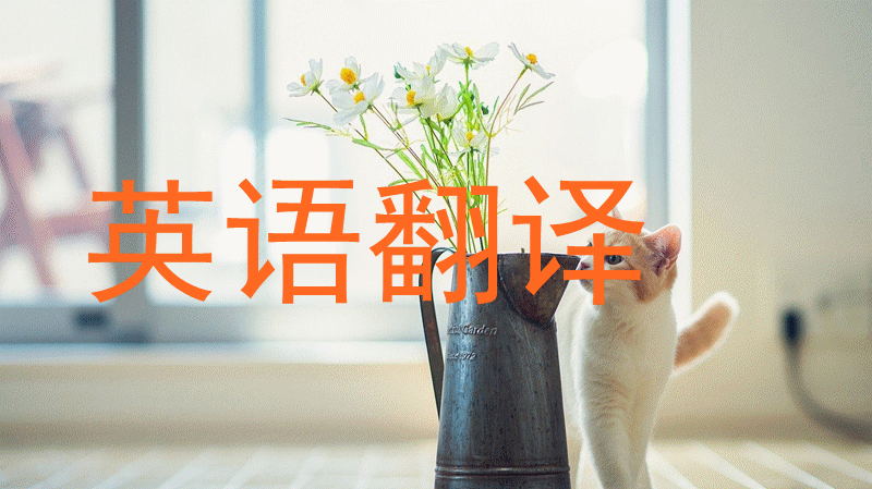 英语翻译-小猪猪宝贝owen