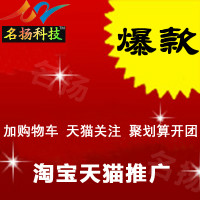 如何在天猫上开网店？商家需要什么条件？