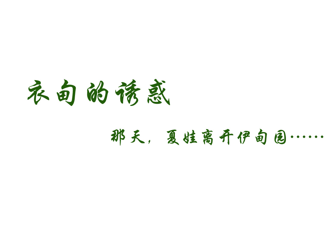 衣甸<em>女装</em>服饰<em>广告语</em>设计