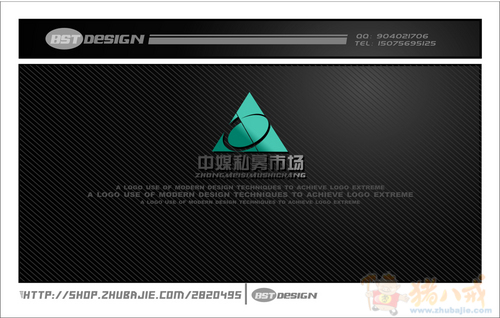 中媒私募市场网站logo设计和简单应用