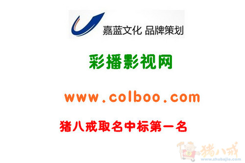 影视网站起名加域名注册-公司起名-猪八戒网