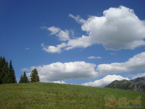 急!拍一组户外登山主题婚纱照,求方案策划(编个