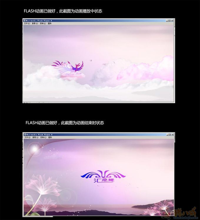 加急!flash引导页-网页动画