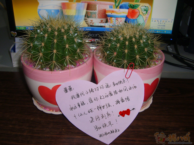 紧急,女<em>朋友生日</em>,征集照片<em>祝福</em>,2.5元一张,急求