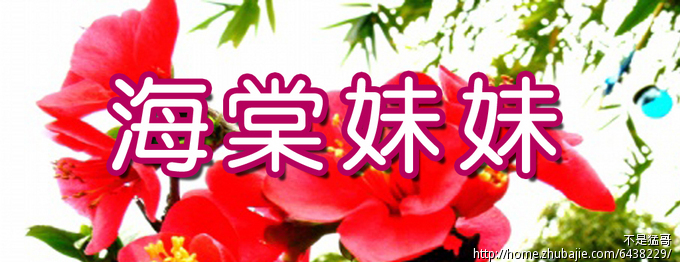 时尚<em>女装</em>店<em>取店名</em>-品牌起名-猪八戒网