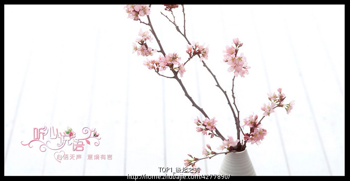 <em>制作个性照片</em>水印-<em>图片</em>编辑-猪八戒网