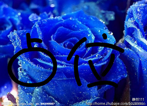 征集全国各地区手写<em>祝福</em>照片,祝好<em>姐妹生日</em>快