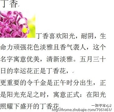 <em>丁姓宝宝取名</em> (女儿) - 宝宝起名 - 起名取名 - 猪