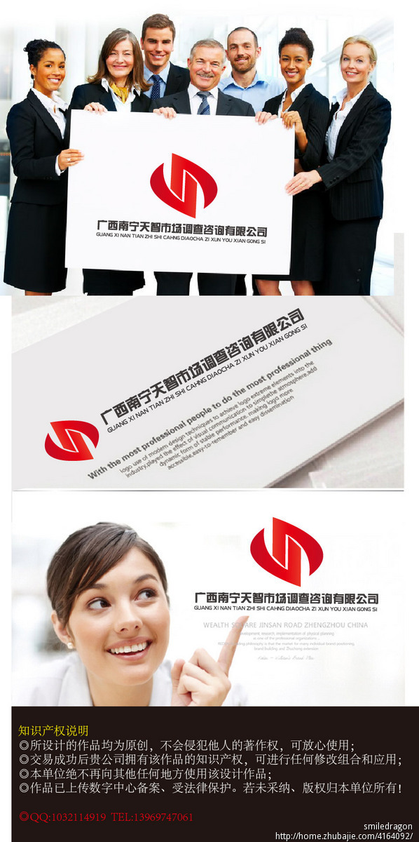广西南宁天智市场调查咨询有限公司logo设计