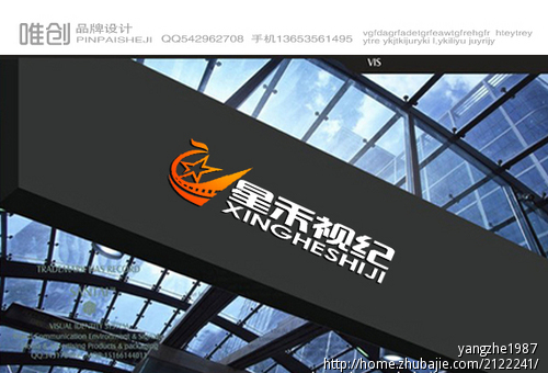 北京星禾视纪文化传媒有限公司logo\/vi设计