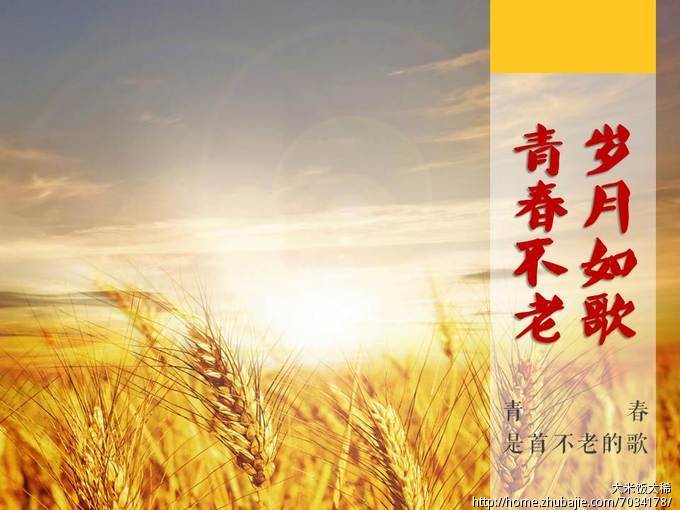 <em>同学聚会</em>用的PPT设计-PPT设计-猪八戒网