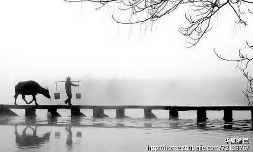 给<em>马姓女宝宝起名</em>,加急!-宝宝起名-猪八戒网