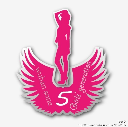 少女时代出道五周年纪念logo设计