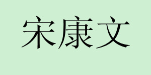 宋姓男宝宝取名
