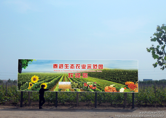 泰进生态农业示范园广告牌设计 红果设计 投标-猪八戒网