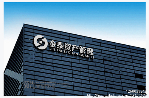 为专业股权投资公司 金泰资产管理 设计一个L