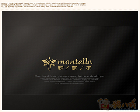 女性<em>文胸</em>,内衣<em>标志LOGO</em>设计及包装吊牌设计