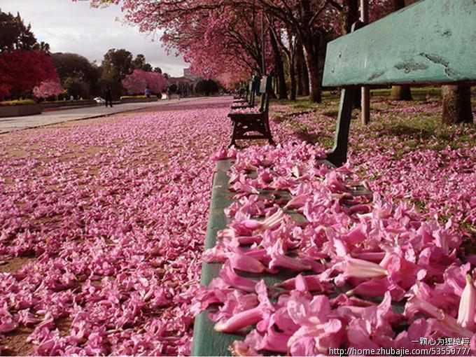 婚礼片头ppt设计-ppt设计-猪八戒网