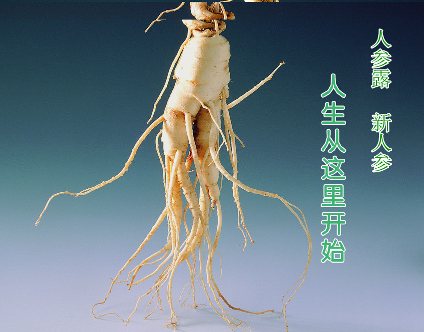 www.shanpow.com_饮料的广告词。