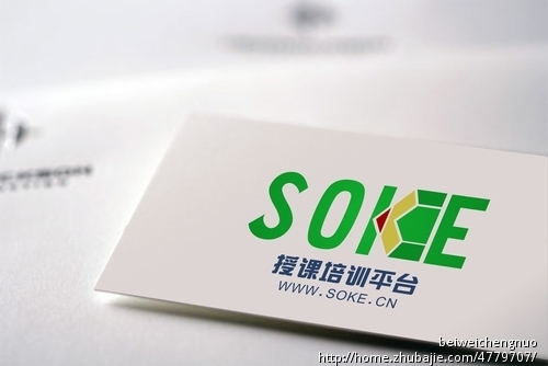 授课培训平台Soke网LOGO设计