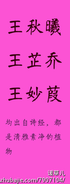 王姓<em>属龙女宝宝</em>取名-宝宝起名-猪八戒网