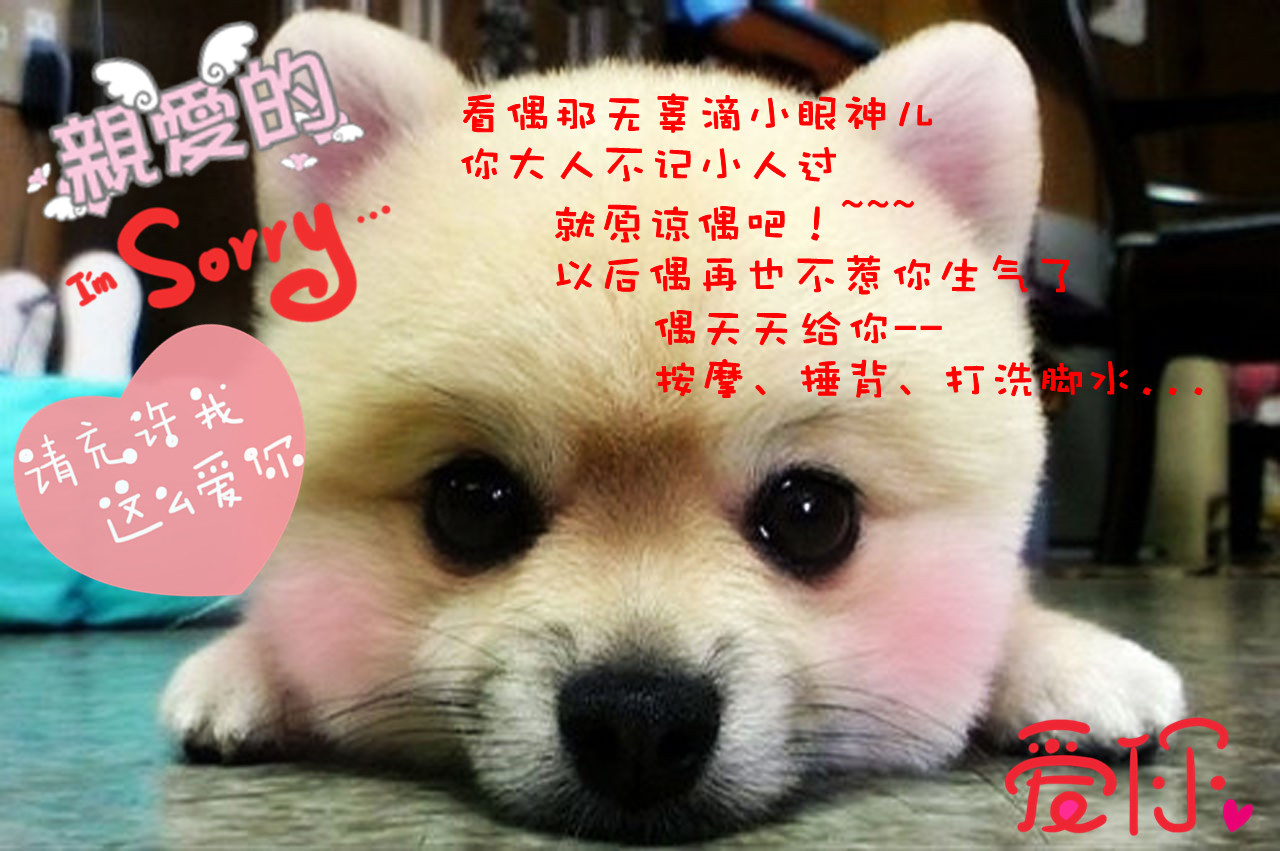 哄女朋友的爱心短信