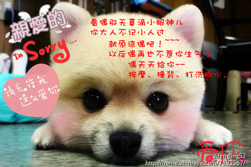 <em>哄女朋友</em>的爱心短信 - 短信创作 - 文章代写 - 猪