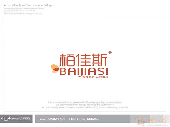 天猫旗舰店/淘宝商城中高端女鞋logo设计