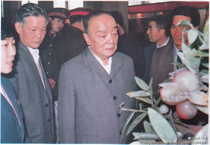 寻求高手给<em>2张旧照片</em>翻新上色,增加像素_飞蚁