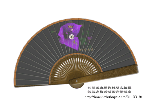 家庭老<em>照片回忆录</em>电子相册制作-电子相册-猪八