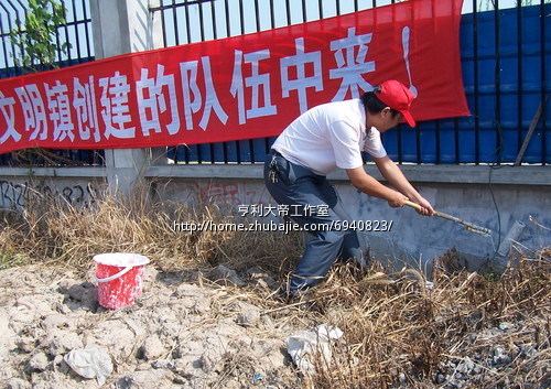 征集:上海奉贤区金汇镇金汇小学风景照片
