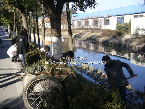 征集:上海奉贤区金汇镇金汇小学风景照片