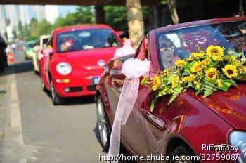 婚礼主题征集-宣传文案-婚庆策划