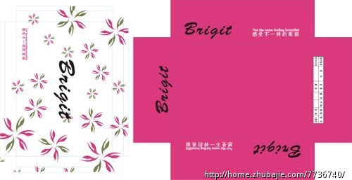 <em>女鞋产品</em>包装盒设计 - LOGO设计 - LOGO/VI设