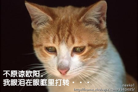 征集全国网友祝福照片,<em>向女友道歉</em>,二元一张!-