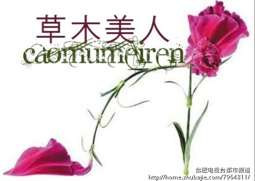 本人要开一家网店,卖<em>女鞋,店名</em>叫草木美人,求店