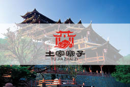 关于企业网站的视觉体系建设的专升本毕业论文范文