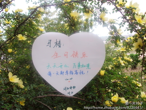 <em>女朋友生日</em>贺卡<em>祝福</em>。 - <em>生日祝福</em> - 创意<em>祝福</em> -
