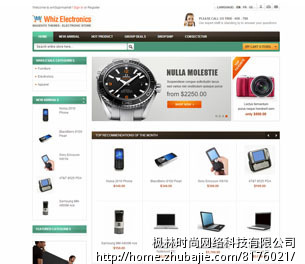 建网上商城的网站_枫林时尚网络科技有限公司