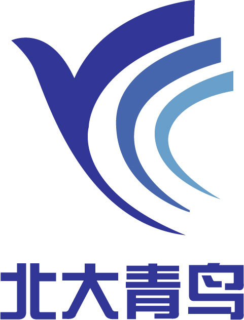 北大青鸟环宇消防设备股份有限公司子公司logo设计