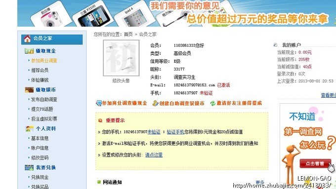 第一调查网注册推广_LEMON-GAO_5005396