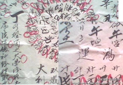 <em>蛇</em>宝宝<em>起名</em>:周姓<em>女孩</em> - 宝宝<em>起名</em> - <em>起名取名</em> - 猪