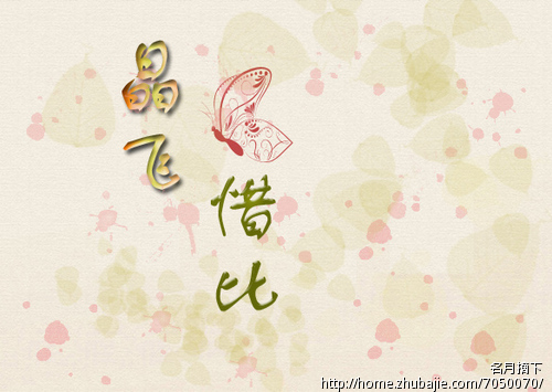 网上<em>淘宝</em>店的<em>店标</em>,卖<em>女装</em>的,名字叫晶飞惜比 -