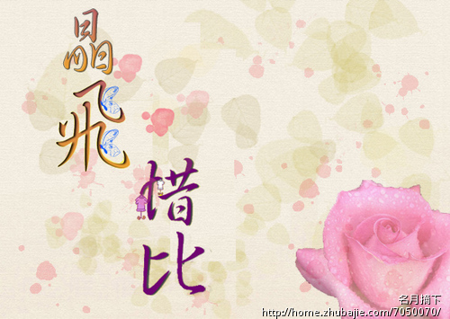 <em>淘宝</em>店<em>女装</em>图标<em>大全</em>_裕安图片网