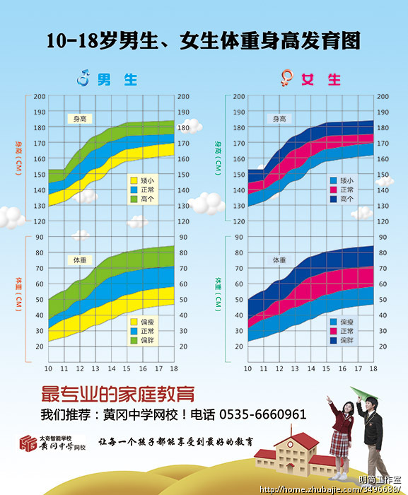 10-18岁男生、<em>女生</em>体重<em>身高发育</em>图 - DM单页设