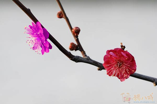 兼职承接一切图片处理!我们将以最好的态度给