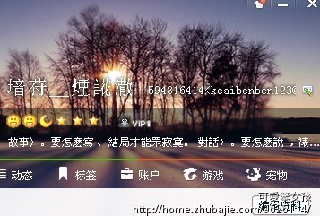 简单QQ<em>空间相册刷赞</em> 加好的 评论 1元 一个 - 淘