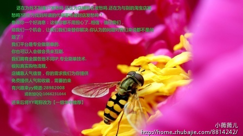 淘宝赚销量好评 2元1单,每IP ID限一单,在线审核